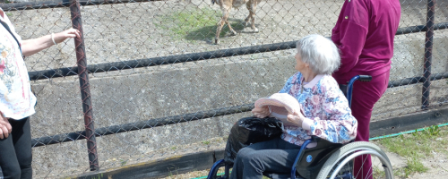 Wycieczka do Ogrodu Zoobotanicznego do Torunia 